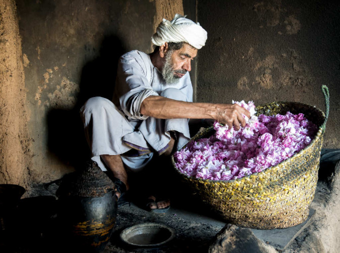 0053_Omani man with roses petals, Jebel Akhdar Ministry of Heritage Tourism Oman_Schoene Aussichten Touristik
